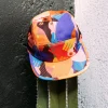 Burton Artist Series Cap