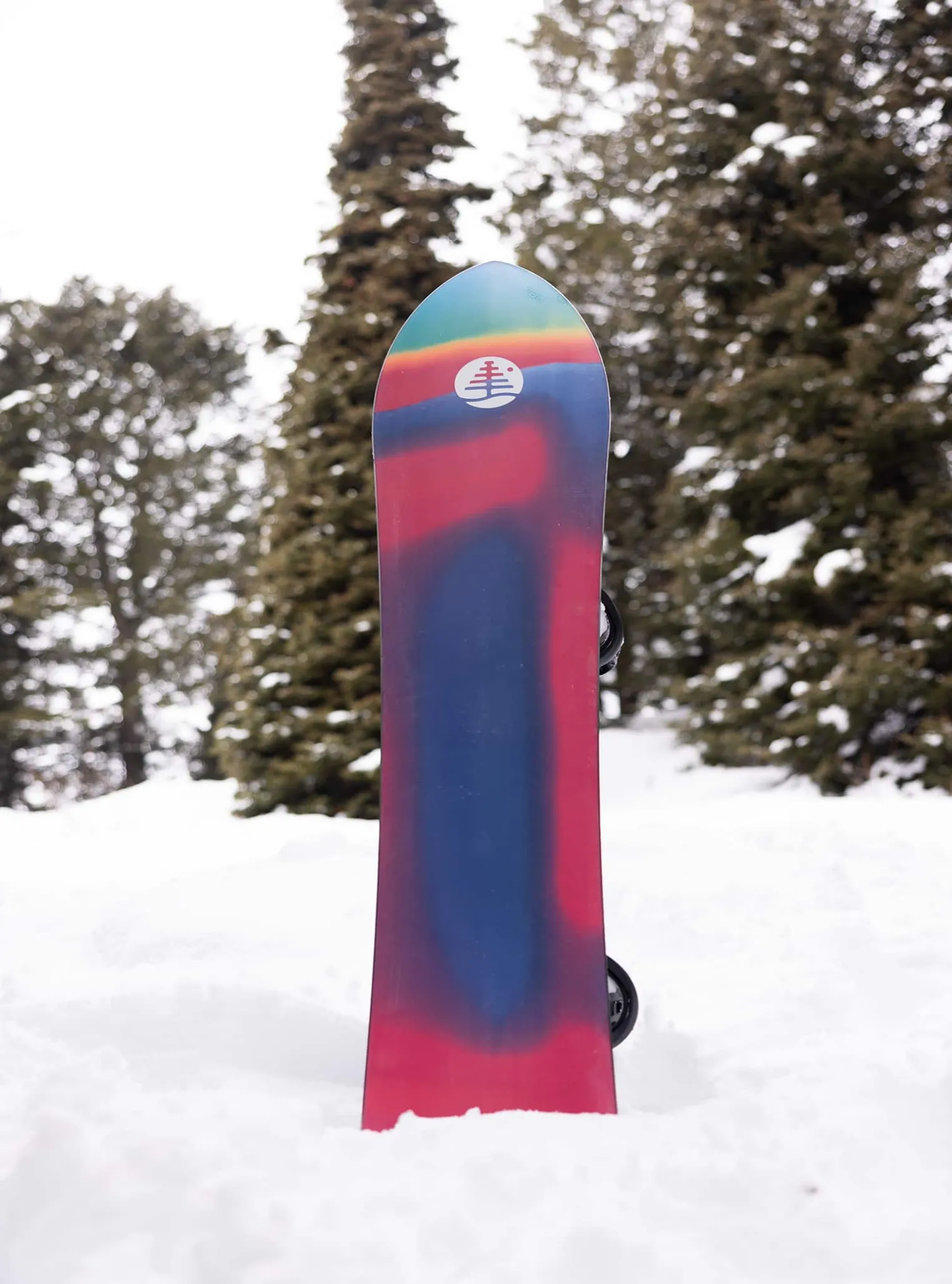 burton_family_tree_d_chan_7.webp Burton Family Tree 3D Channel Surfer Flat Top Snowboard