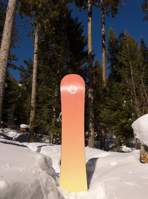 Burton Family Tree 3D Daily Driver Camber Snowboard
