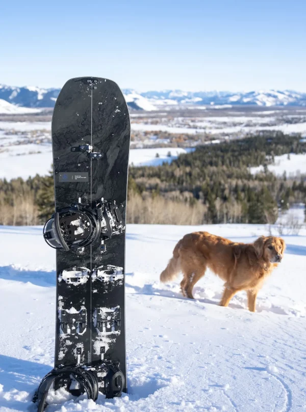 Burton Family Tree Hometown Hero Camber Splitboard