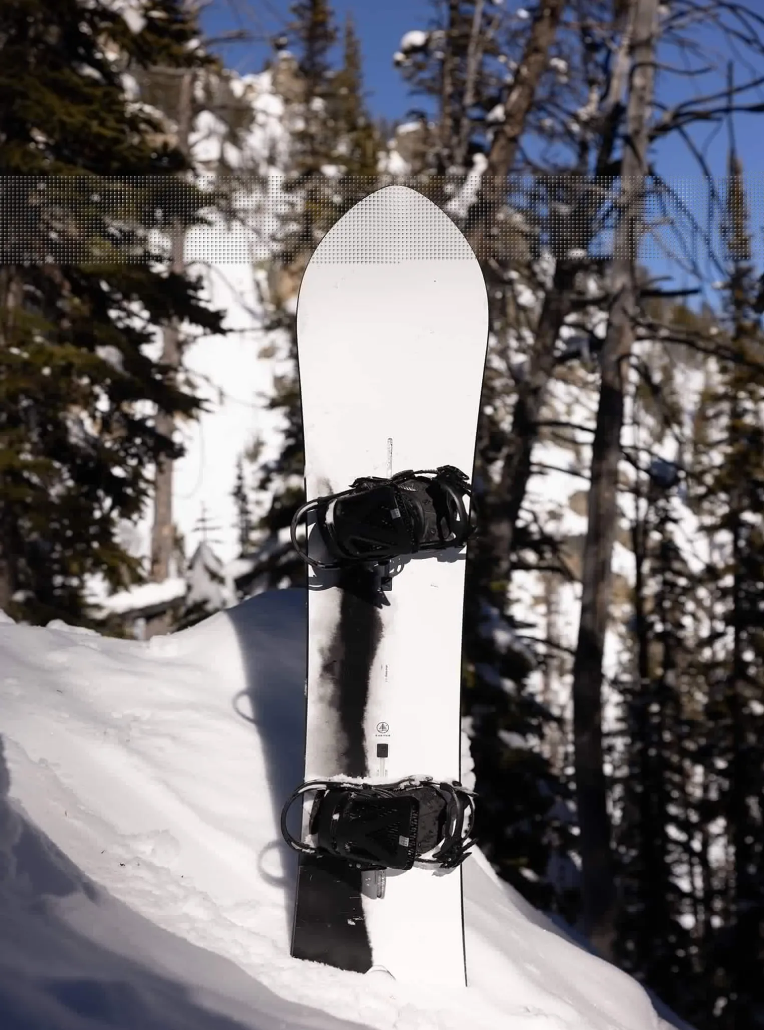 burton_family_tree_short__6.webp Burton Family Tree Short Stop Flat Top Snowboard